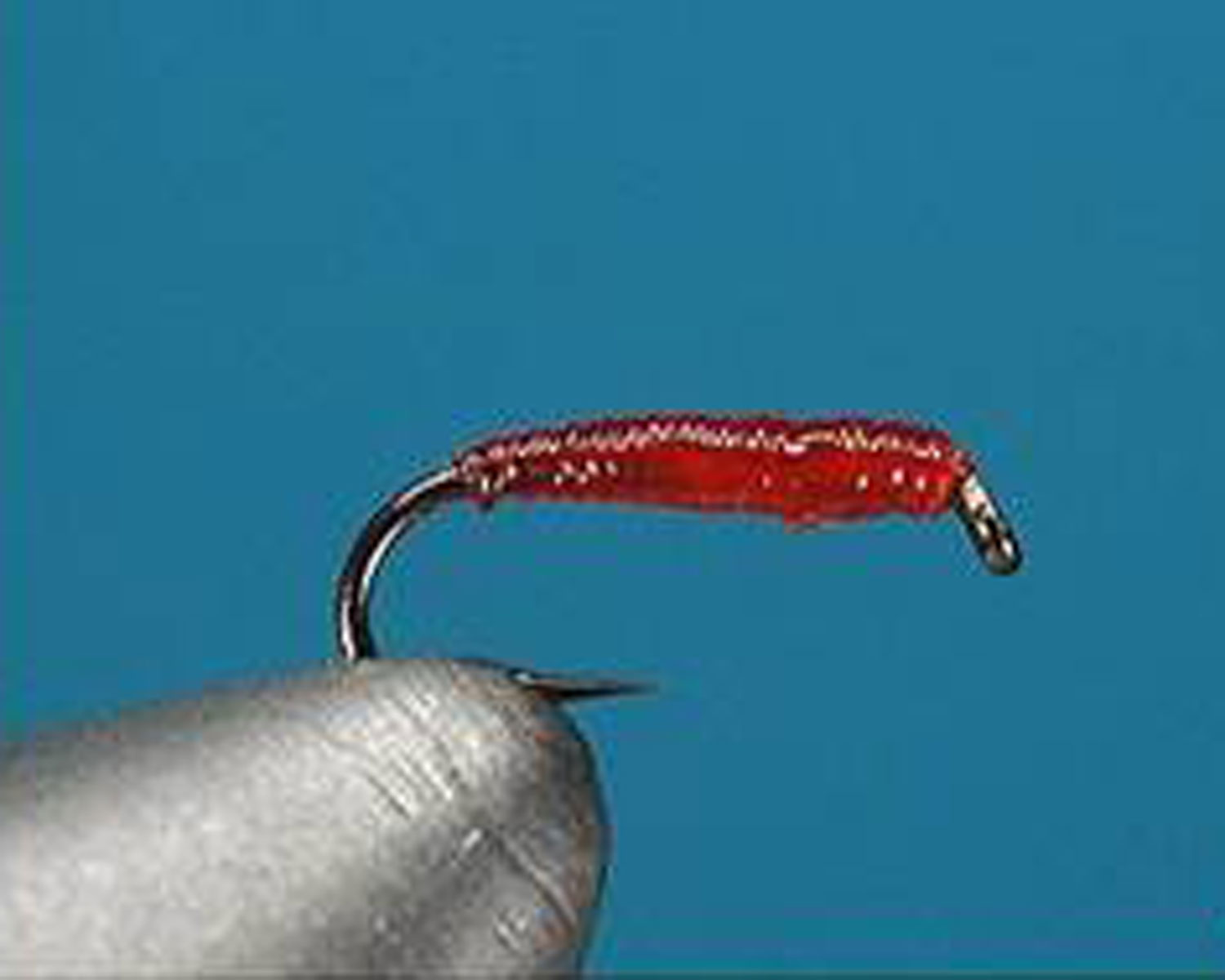 “Too simple bloodworm”